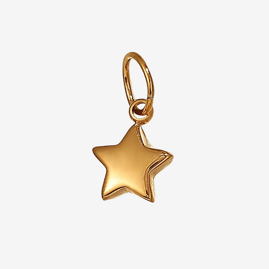 Gold Charms